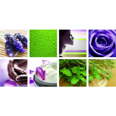 8 pcs Botanical Ensemble Canvas Mural 48