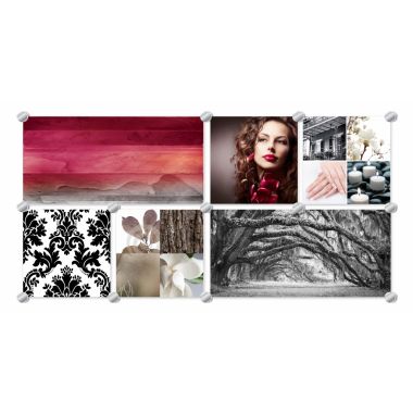 Southern Magnolia Glass Mural - Design C