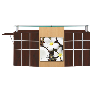 Ion Reception Counter