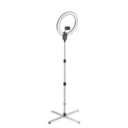 Daylight - Aura Ring Floor Lamp Portable