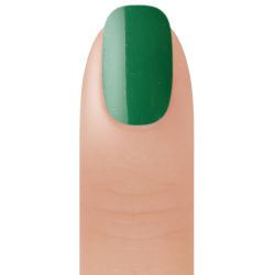 Beyond Couleurdip Powder #22 Forest Green 2 oz