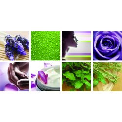 8 pcs Botanical Ensemble Canvas Mural 48