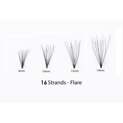 #1 Eyelash Flare Jar 12MM -16 Long