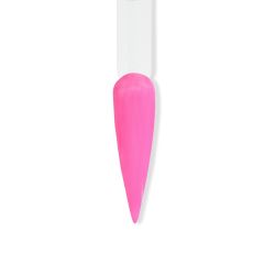 Regal Trio - I Speak French