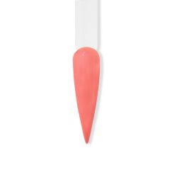 Regal Trio - Blush Sorbet
