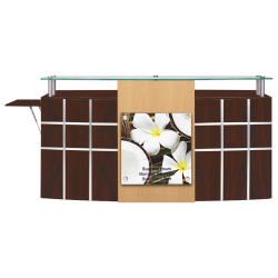 Ion Reception Counter