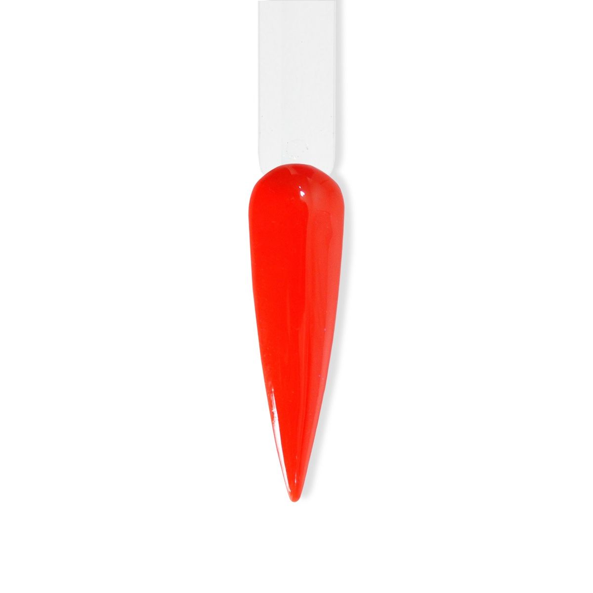 Beyond Couleurdip Summer Kit