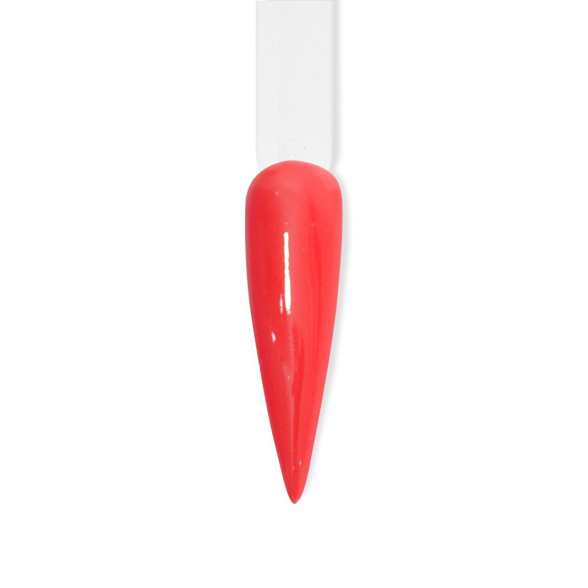 Beyond Couleurdip Spring Kit