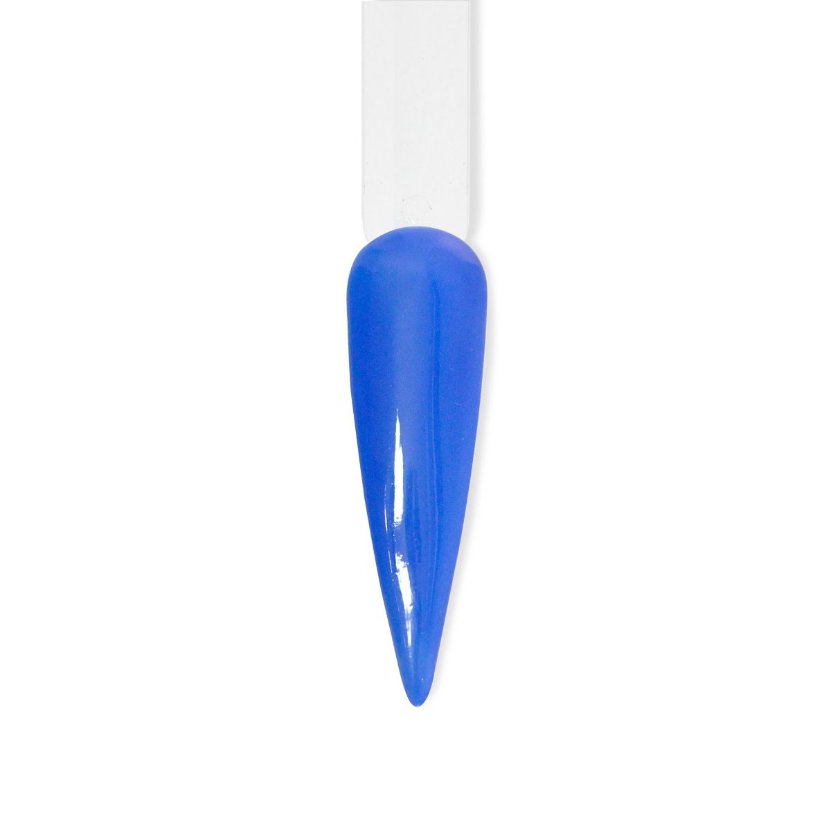 Beyond Couleurdip Spring Kit