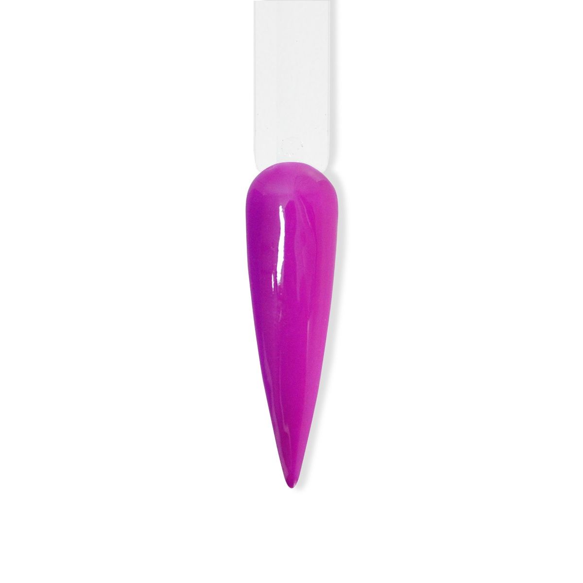 Beyond Couleurdip Summer Kit