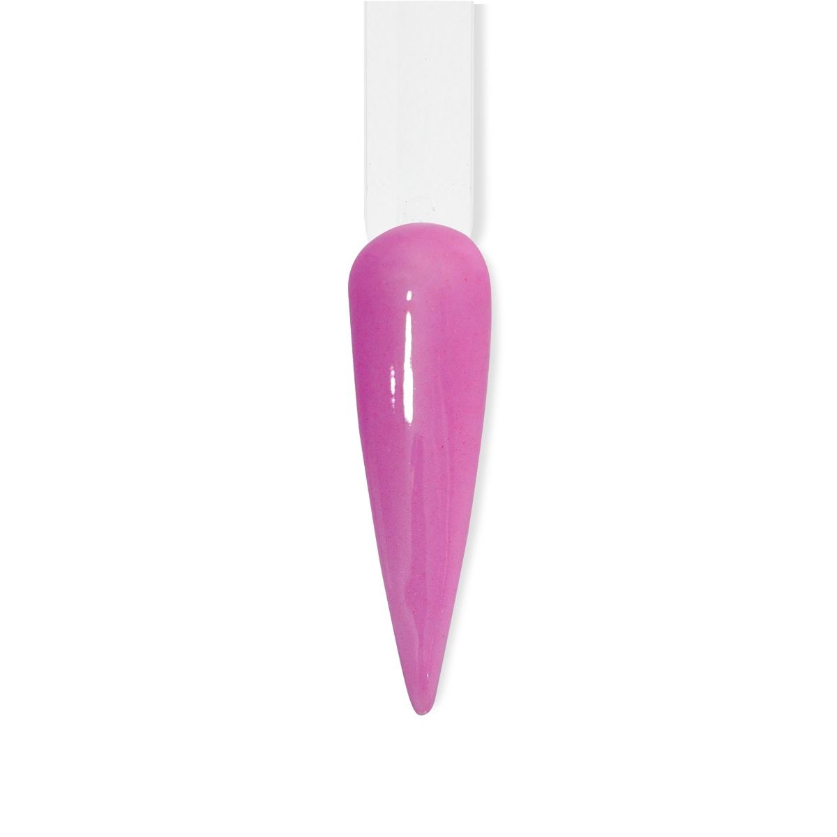 Beyond Couleurdip Spring Kit