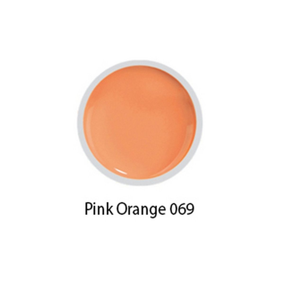 Beyond- #069 Painting Gel - Pink Orange - 8 gr