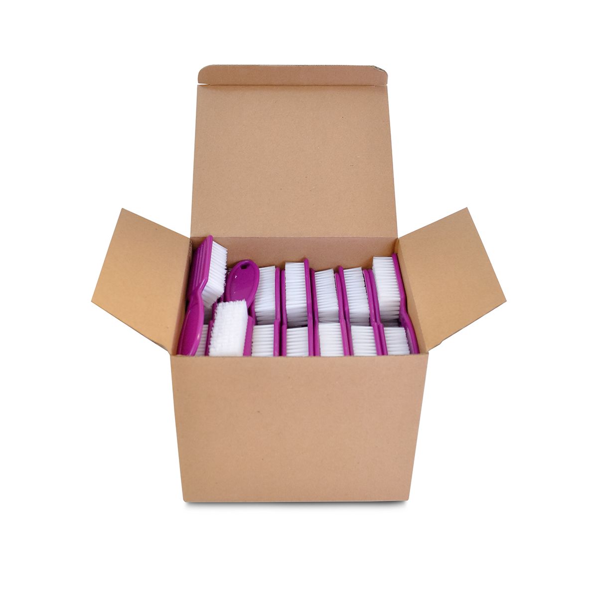 Manicure Brush Type A