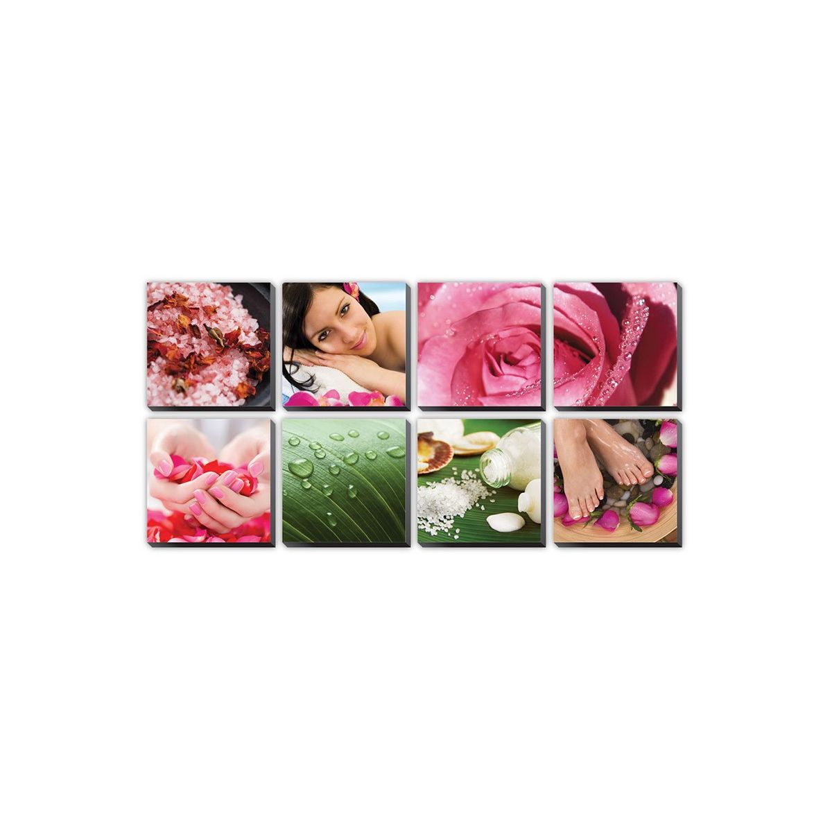 8 pcs Fresh Pink Ensemble Canvas Mural II 48