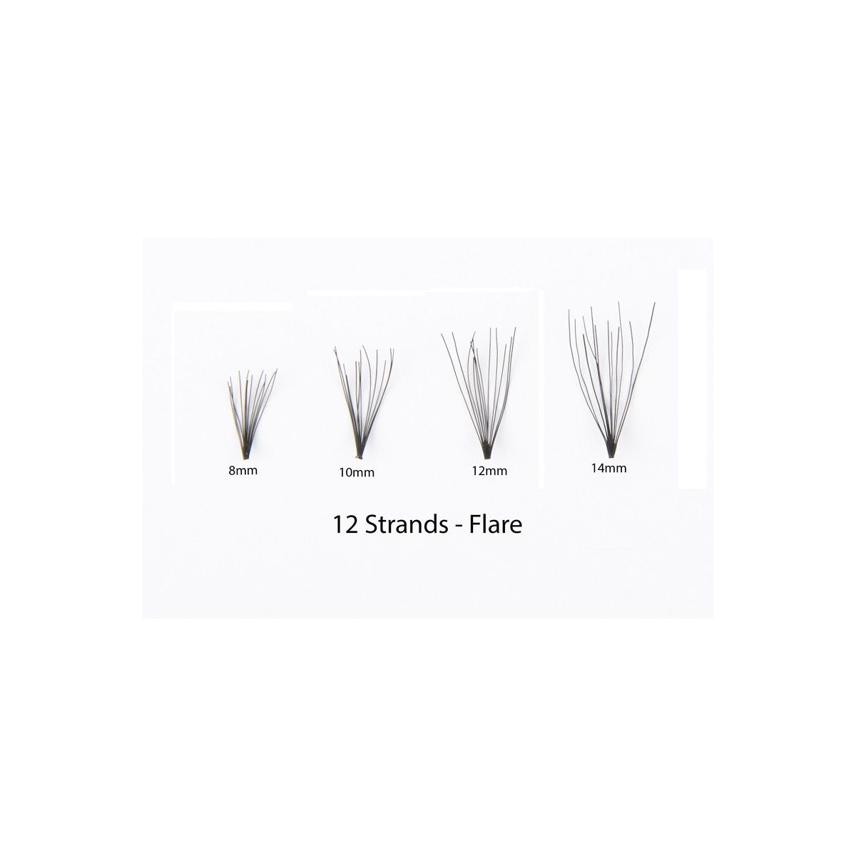 #1 Eyelash Flare Jar 10MM -12 Medium