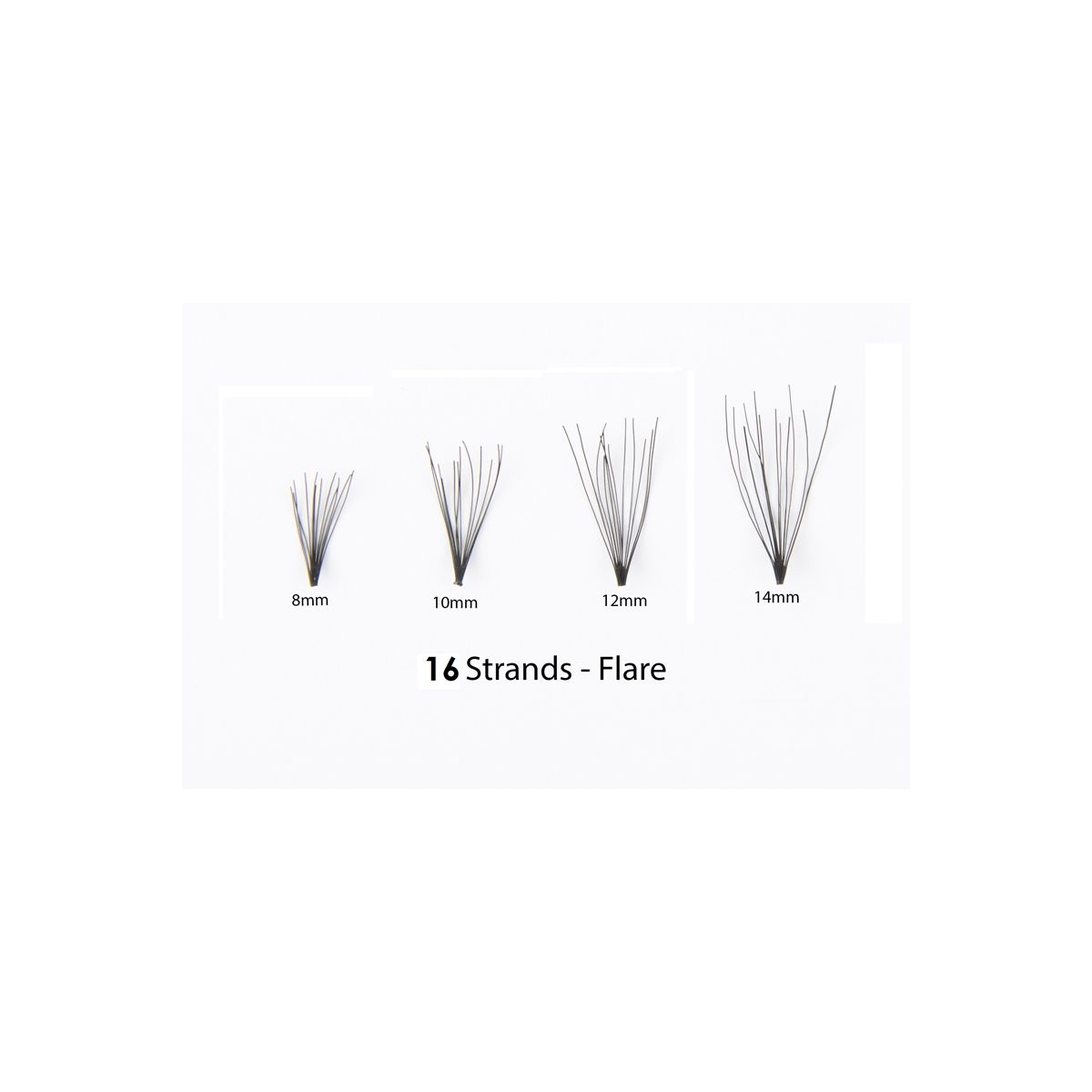 #1 Eyelash Flare Jar 12MM -16 Long