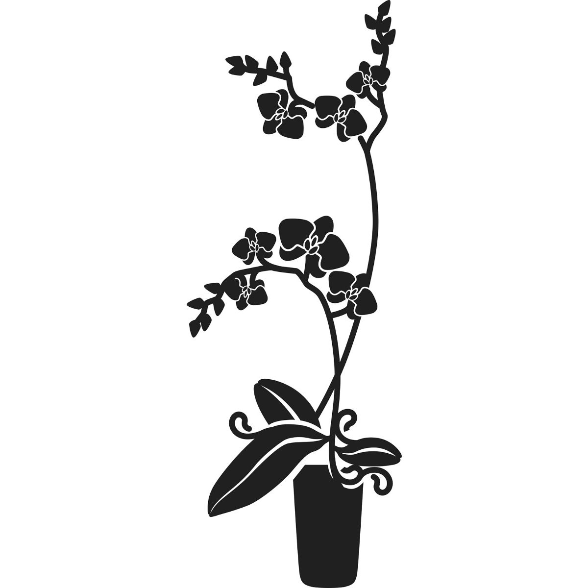 Vinyl Salon Decals-Outside