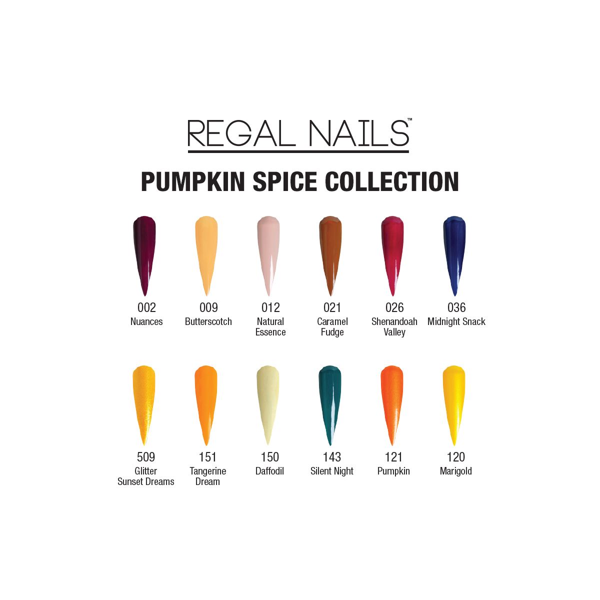 Regal Pumpkin Spice Powder Collection