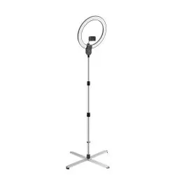 Daylight - Aura Ring Floor Lamp Portable
