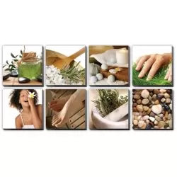 8 pcs Natural Ensemble II Canvas Mural 48