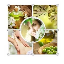 Olive Garden Glass Mural - Design A