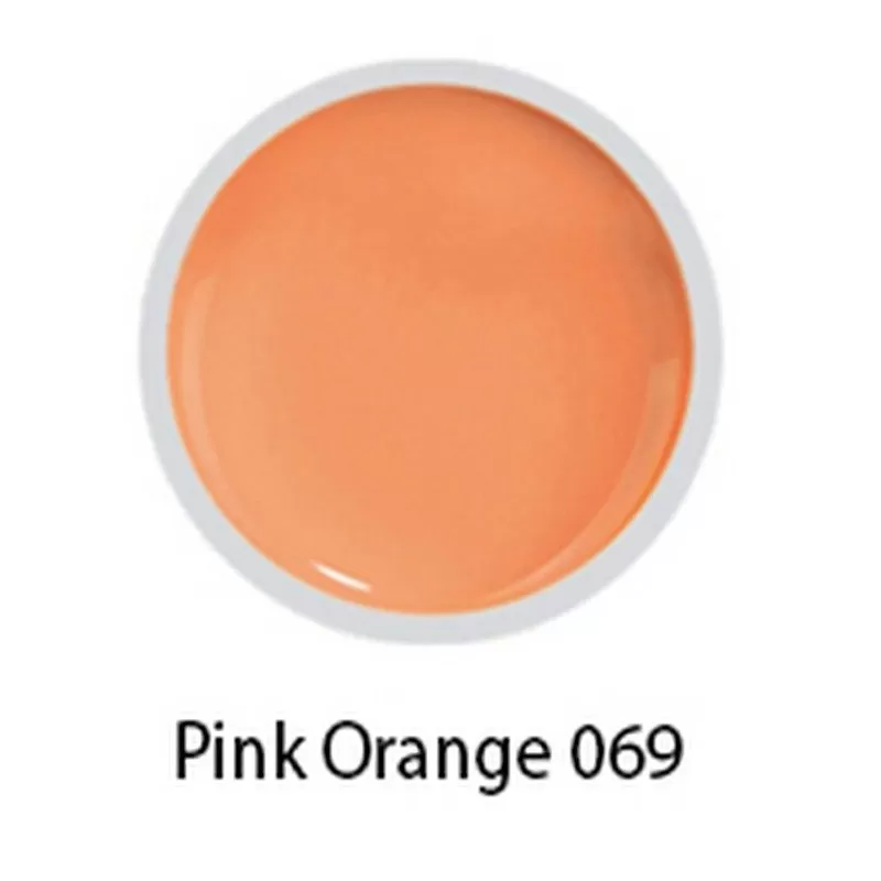 Beyond- #069 Painting Gel - Pink Orange - 8 gr