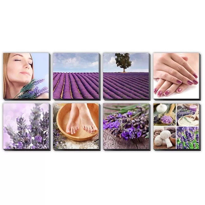 8 pcs Lavender Fields Ensemble Canvas Mural 48