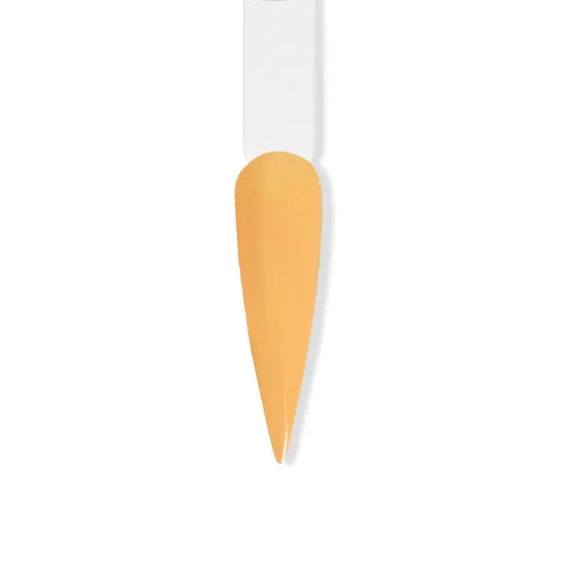 Regal Dip - Butterscotch - 16 oz