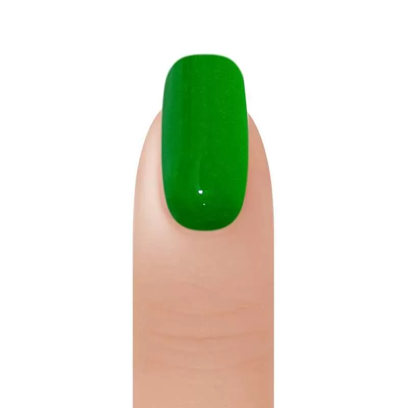 BangBang Acrylic DP #310 - Dark Forest 2 oz