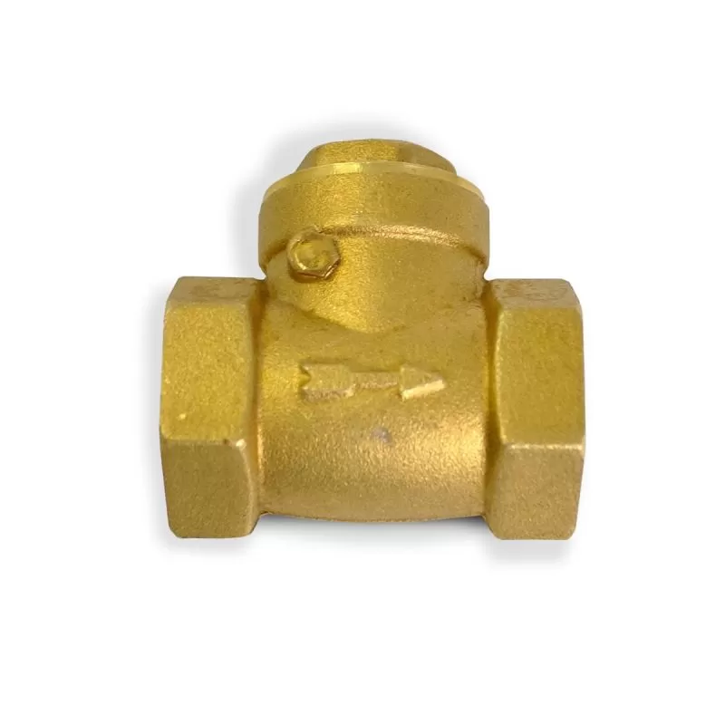 Spa Check Valve 3/4